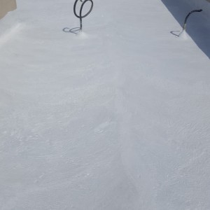 Roof Waterproofing