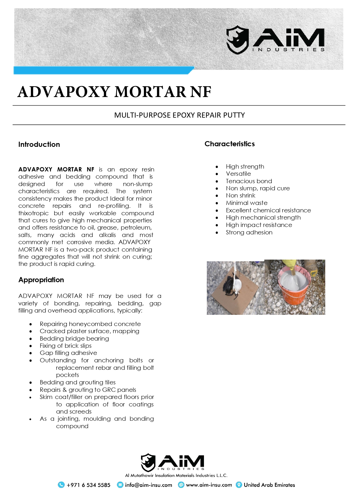 ADVAPOXY MORTAR NF